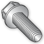 Thread-Rolling Screws